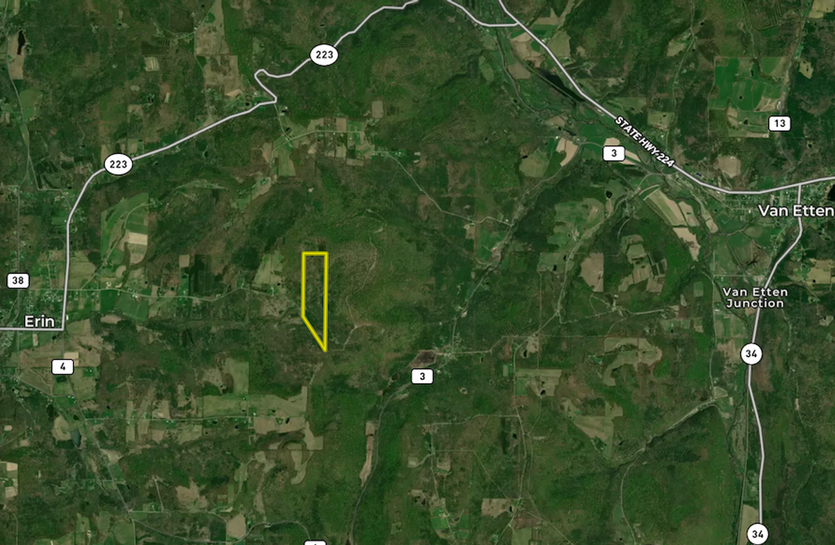 Chemung_72.703_Gutchess_Lumber_Landid_6