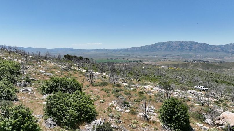DJI_0436