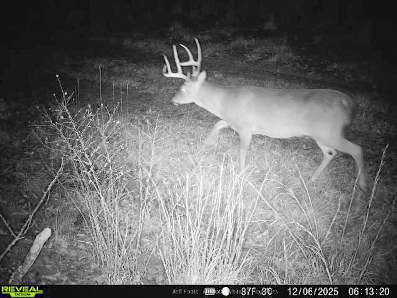 Holmes County - 108 - Rodriguez-30