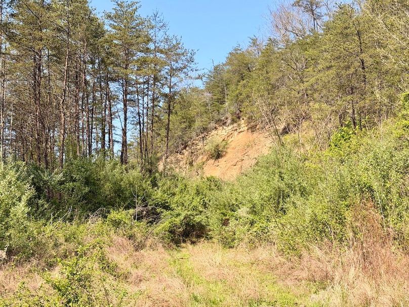 Scott Co TN 286 Keeton_076