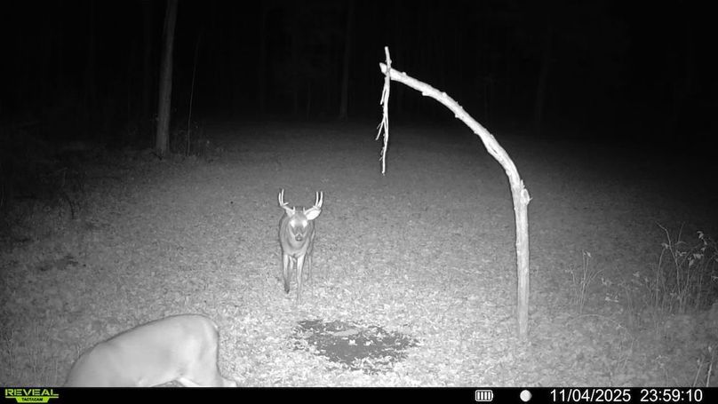 016579004341785-93-3-11042025235910-SYFW00739