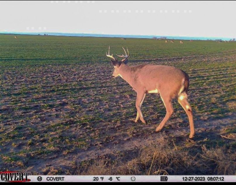 Screenshot_20231227_163029_CovertWireless