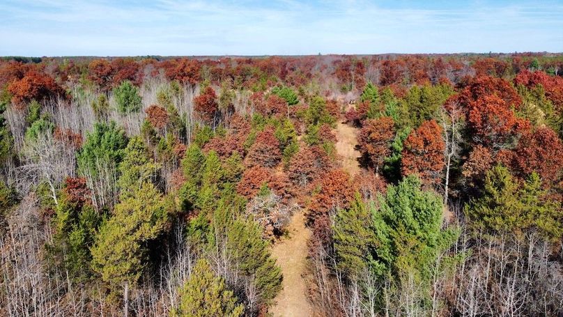 dji_fly_20241024_131412_508_1730406207534_photo_optimized