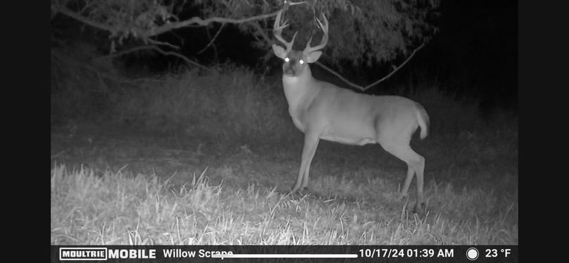 Trailcam3