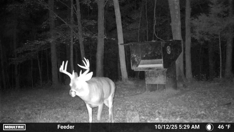 Temp_2337666-20251012093010-100MFCAM_MFDC4490