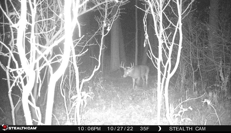 Screenshot_20230331_223135_Messages