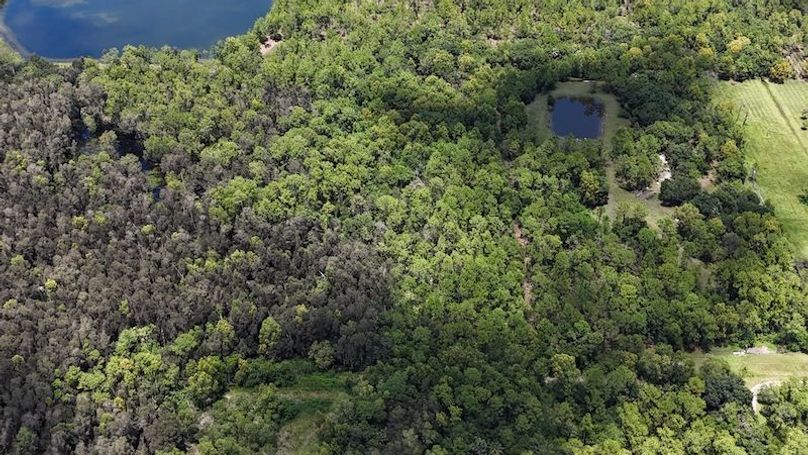 DJI_20250819134039_0025_D