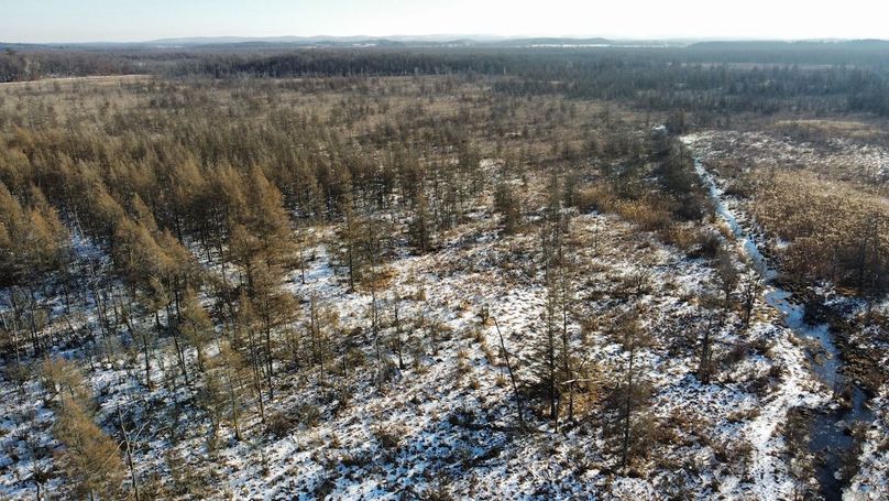 dji_fly_20240131_144842_910_1706897206956_photo_optimized