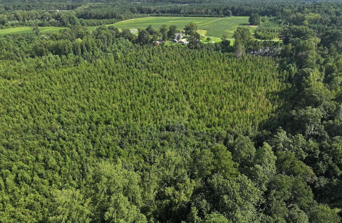 DJI_20250818160112_0105_D