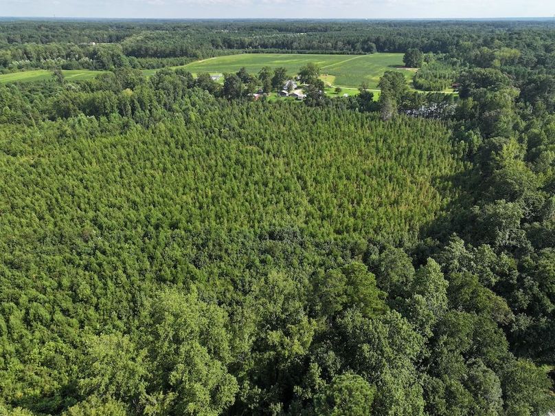 DJI_20250818160112_0105_D