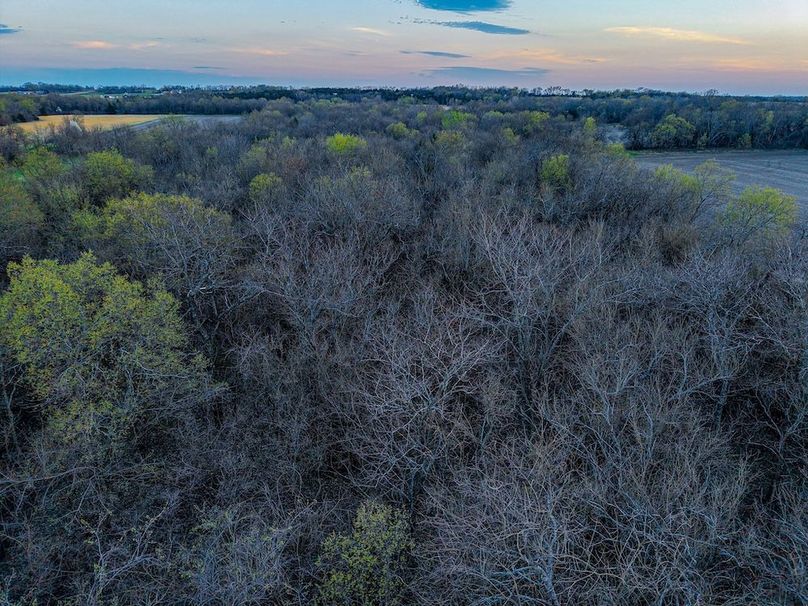 DJI_20250327192740_0128_D