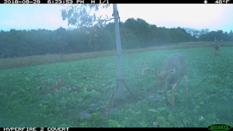 2018-09-29 18-23-53 M 1_1