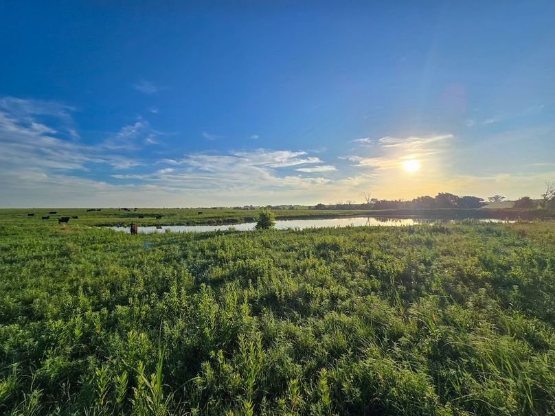 Copy of 20250625_065504