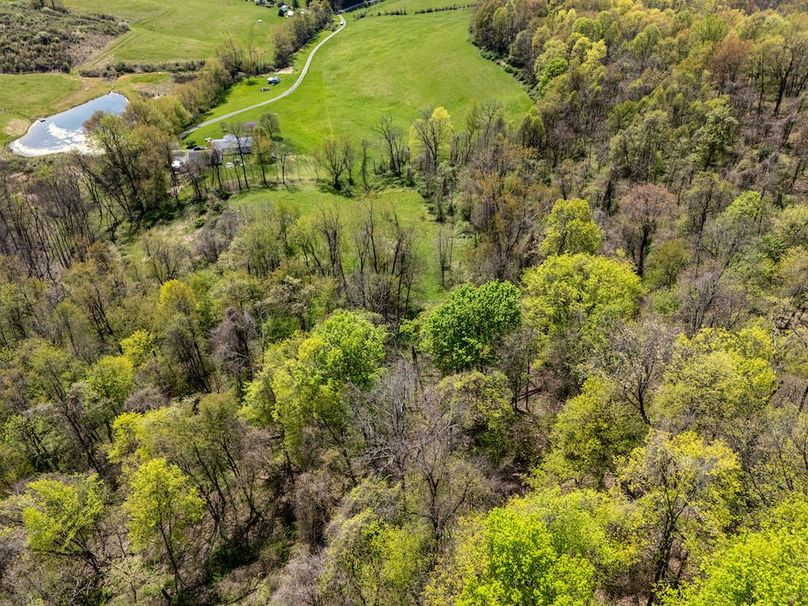 DJI_20250424100114_0224_D