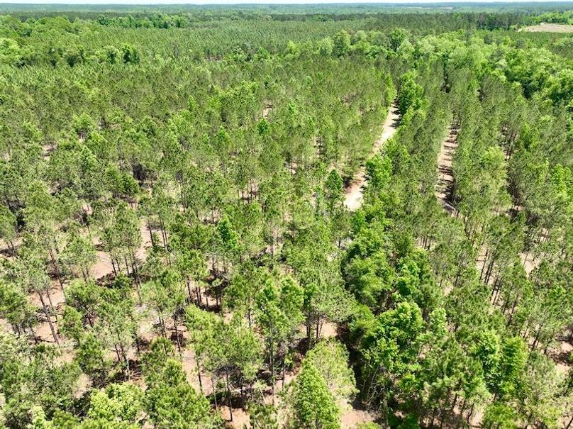 dji_fly_20260429_133912_636_1777484703435_photo