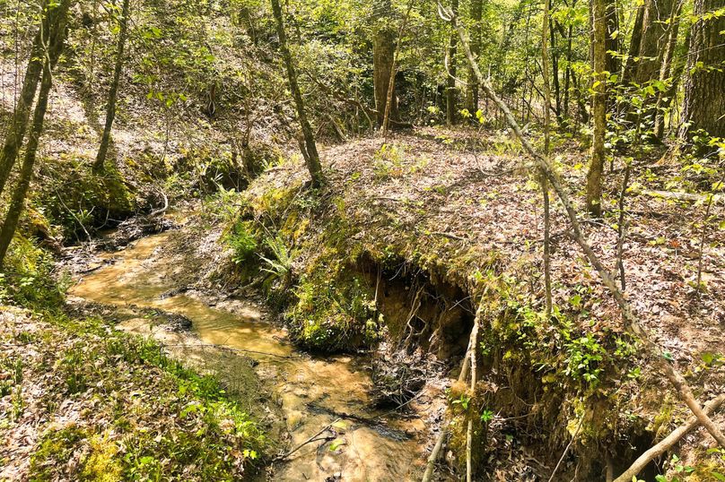 10 Creek 04