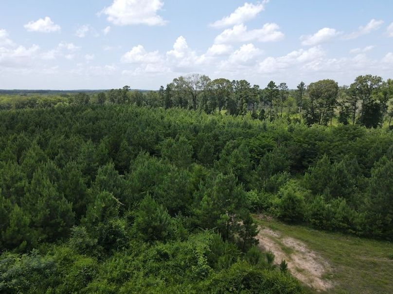 DJI_0357