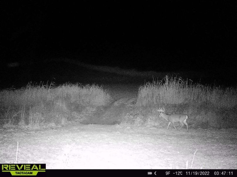 Messenger_creation_179E9B72-2D45-44F3-9FF8-0E9460D5A6F4