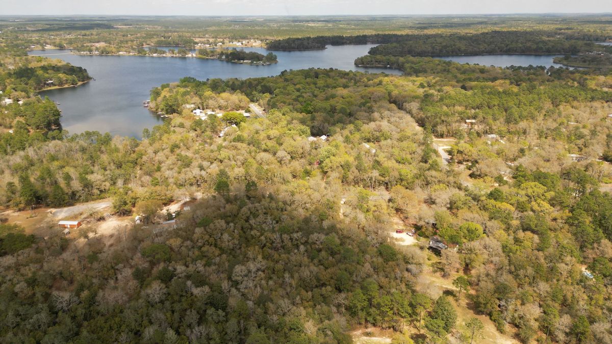Buildable Acreage Near Kings Lake DeFuniak Springs Whitetail Properties