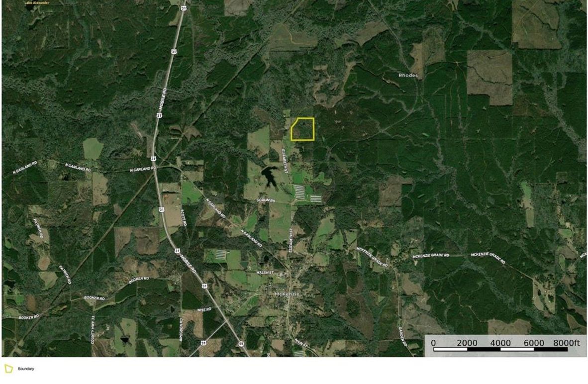 Aerial #3 Approx. 38 Acres Butler County, AL