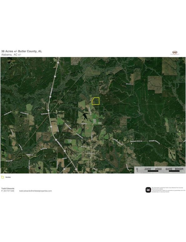 Aerial #3 Approx. 38 Acres Butler County, AL