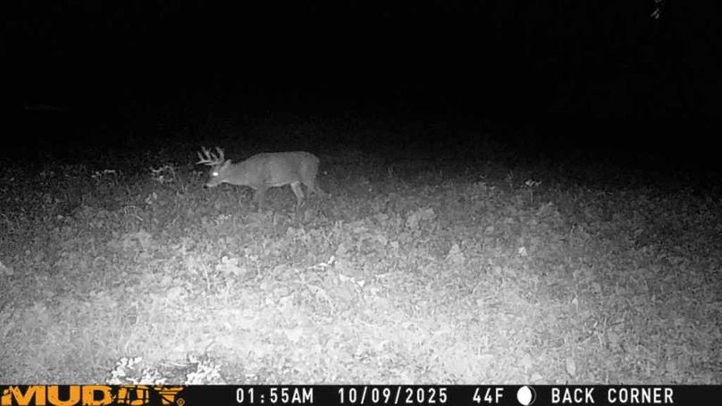 25100901552301004273_ColorizationType.none