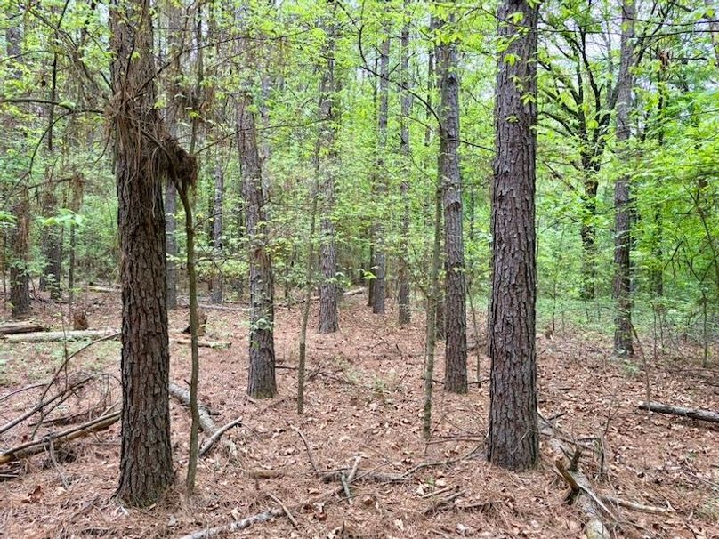 09841697-6E1D-4138-BAE0-5FA938C0C333_1_105_c