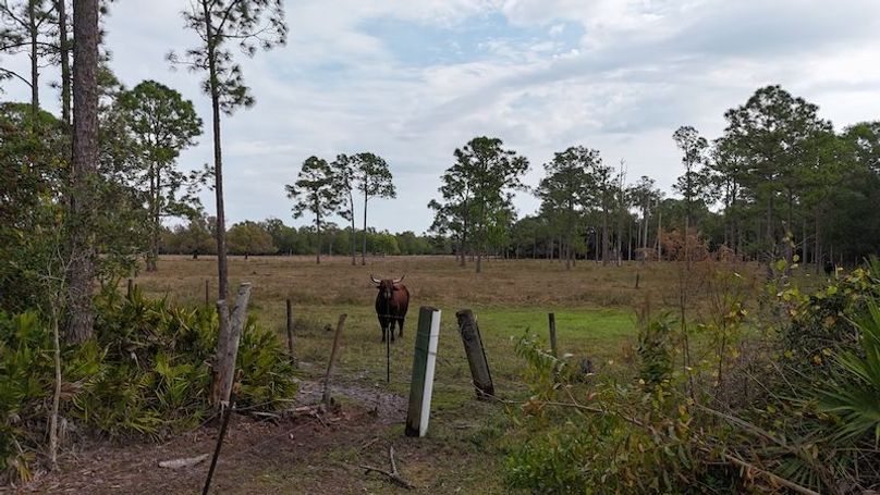 DJI_20260118093547_0161_D