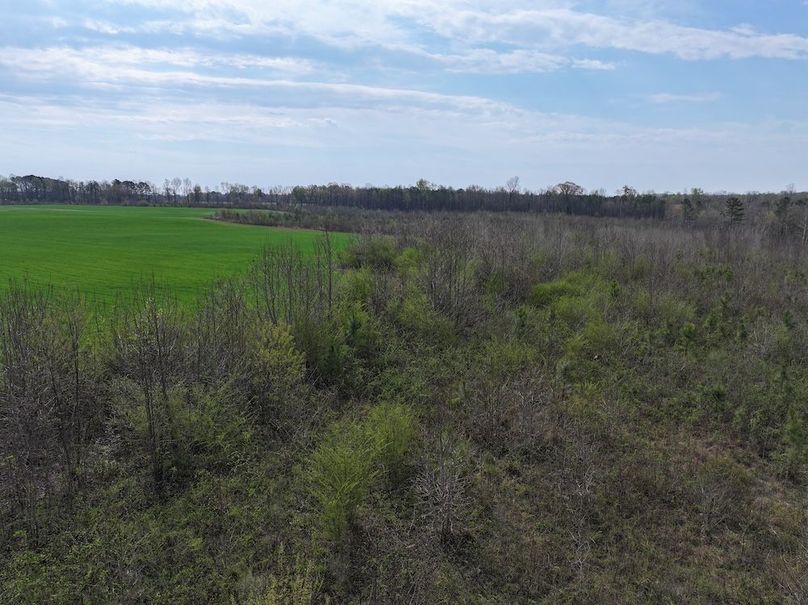 DJI_20260303063500_0545_D