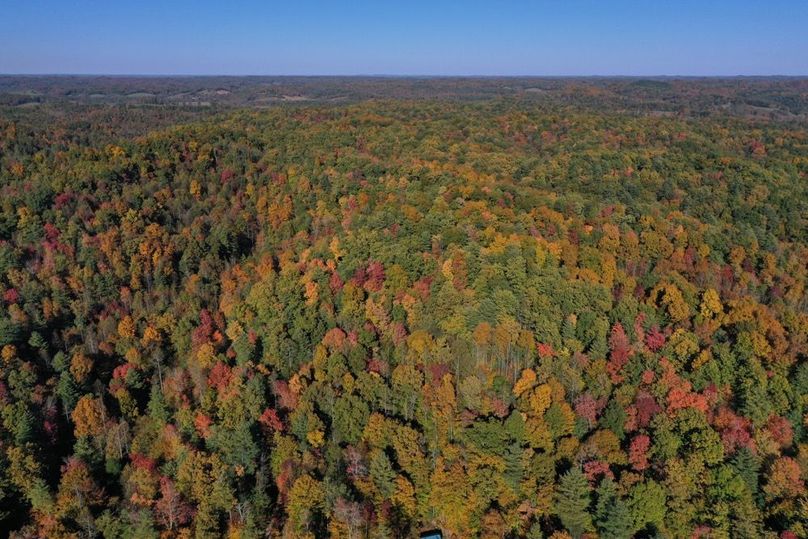 012 aerial drone shot from the west edge of the property looking to the east along the main ridge