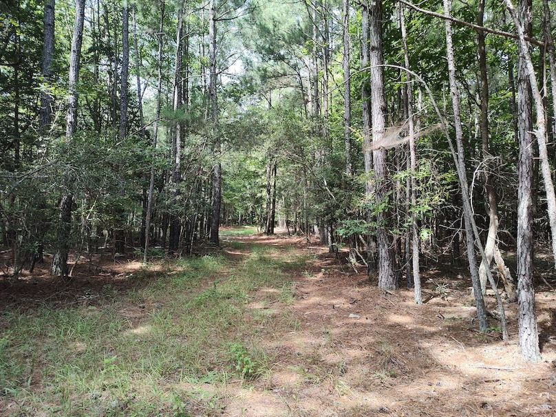 IMG_20250830_115927783