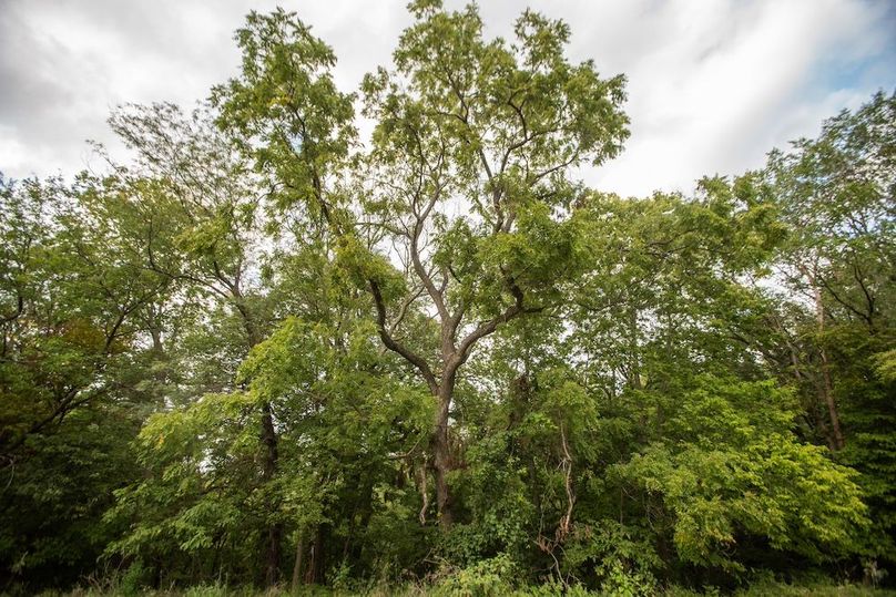 FREMONT CO IA 159.05_65