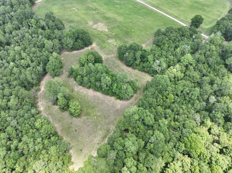 dji_fly_20230731_132314_438_1690845819312_photo