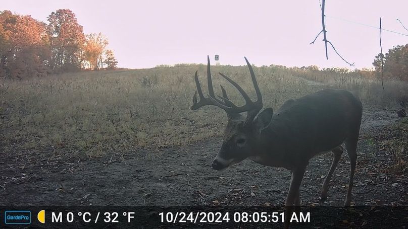 NSCF----_241024080551_0632