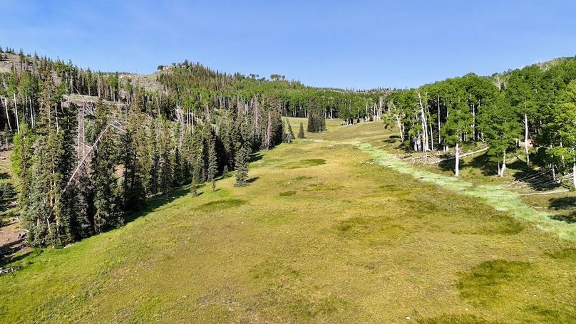 DJI_20250628091924_0222_D