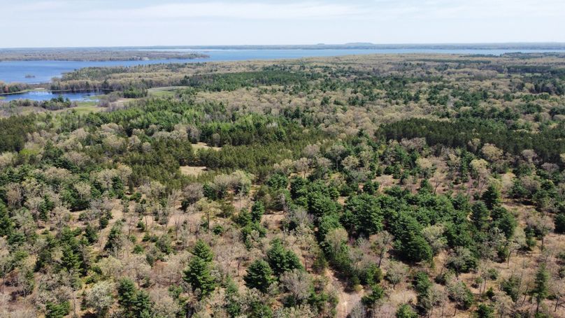 dji_fly_20230511_113938_445_1683838306314_photo_optimized