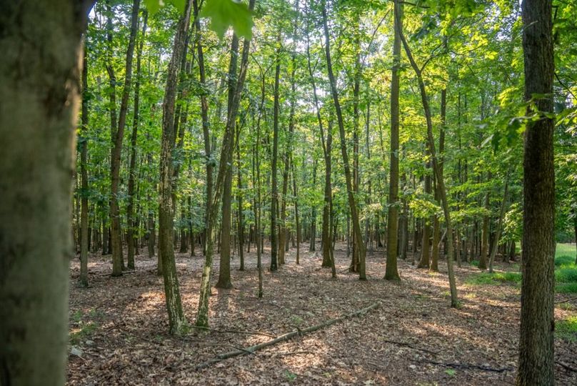 Franklin 59.85_039-2