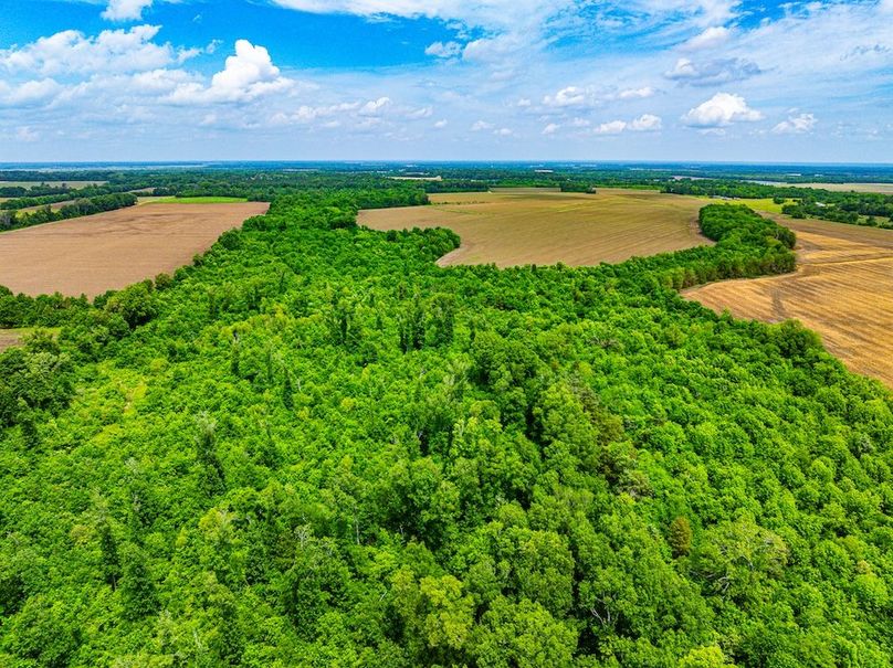 Copy of Noxubee 70 +- Tract 3-10