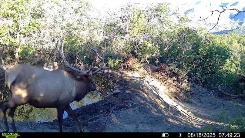 016578004083249-40-2-08182025074923-V-SYFW00039