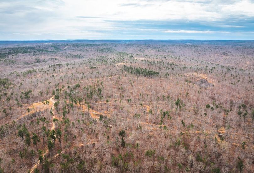 DJI_20250403120251_0563_D