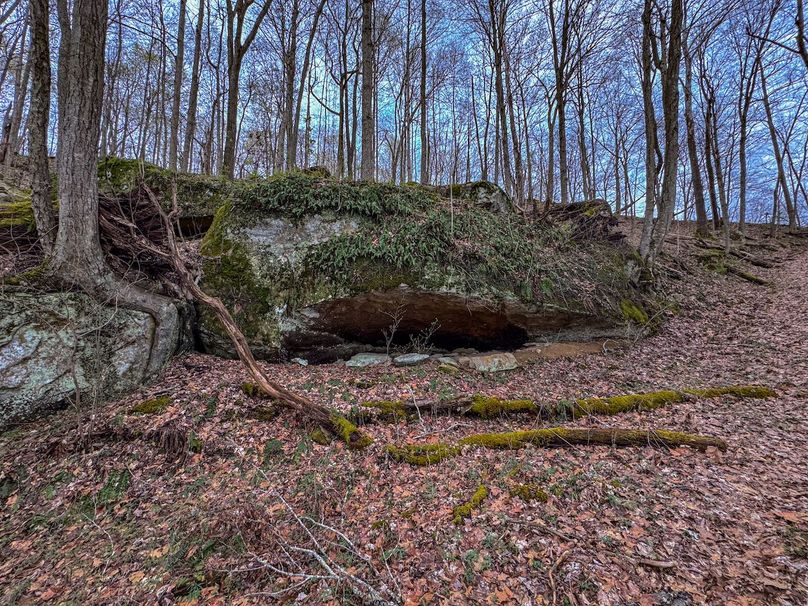 Wirt, WV 39.564 AC Full-12
