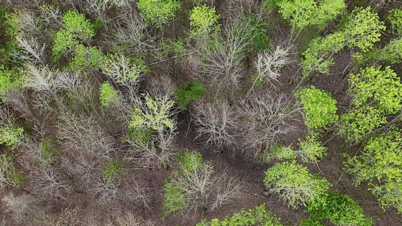 DJI_20260402002815_0188_D