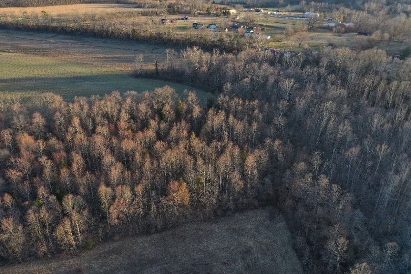 017 aerial drone shot of the west part of the property