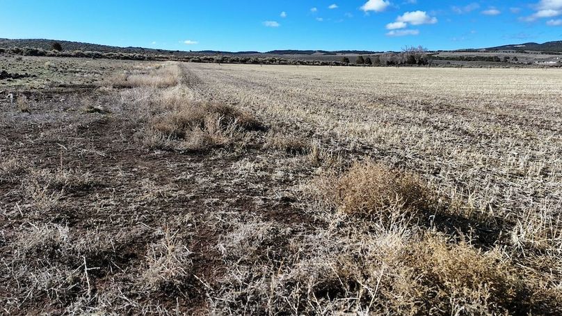 Panguitch City Farm27