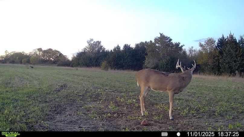 016578002025259-100-3-11012025183725-SYFW11444