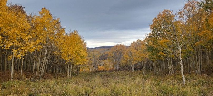 Copy of 20231011_094213