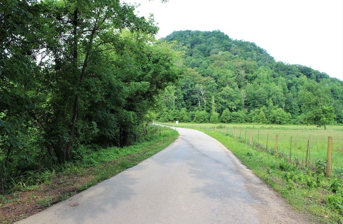 005 Driftwood Drive along the front of the property
