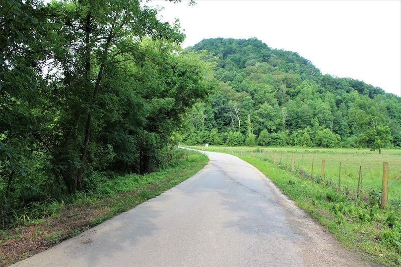 005 Driftwood Drive along the front of the property