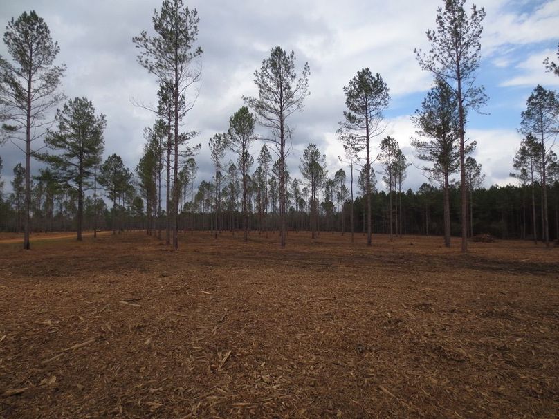 84B6A8EB-03E4-4AC6-8229-FF37D4D21E37_1_105_c