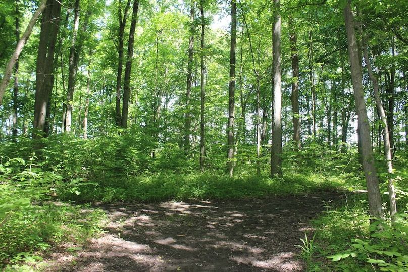 trail 28